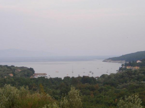 Marina 12
